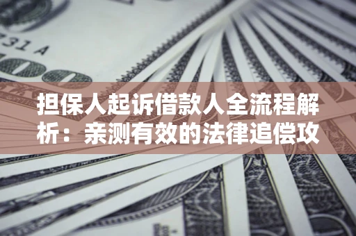 济南担保人起诉借款人全流程解析：亲测有效的法律追偿攻略