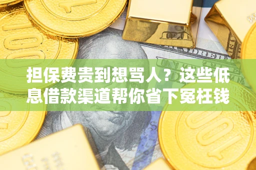 济南担保费贵到想骂人？这些低息借款渠道帮你省下冤枉钱
