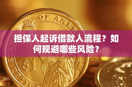济南担保人起诉借款人流程？如何规避哪些风险？